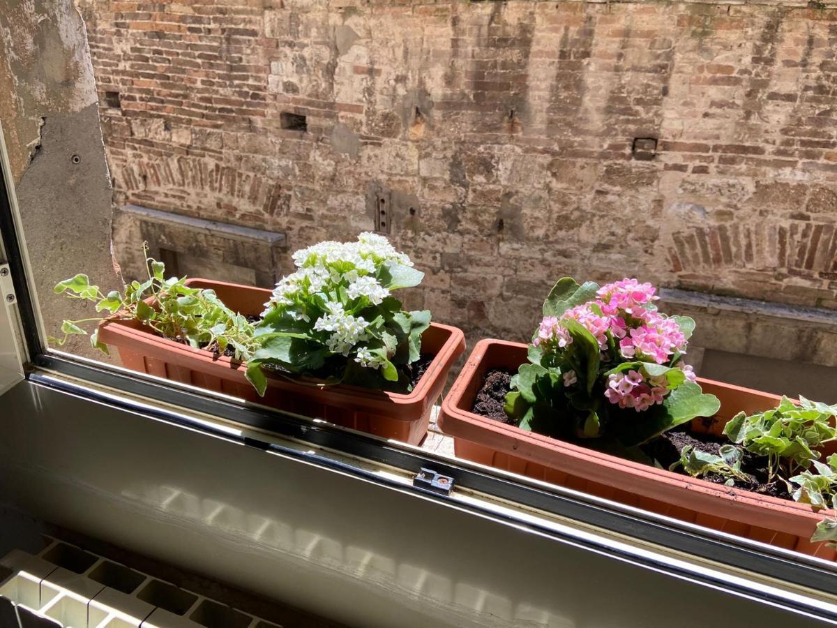 Apartament Al Bel Panorama Perugia Zewnętrze zdjęcie